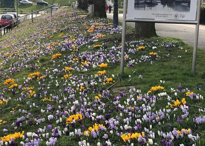 Appartement Wattloewe